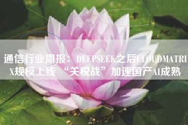 通信行业周报：DEEPSEEK之后CLOUDMATRIX规模上线 “关税战”加速国产AI成熟