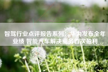 智驾行业点评报告系列：华为发布全年业绩 智能汽车解决业务首次盈利