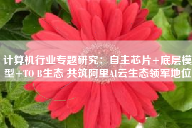 计算机行业专题研究：自主芯片+底层模型+TO B生态 共筑阿里AI云生态领军地位