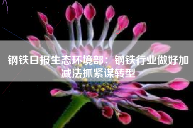 钢铁日报生态环境部：钢铁行业做好加减法抓紧谋转型