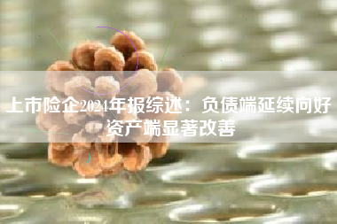 上市险企2024年报综述：负债端延续向好 资产端显著改善