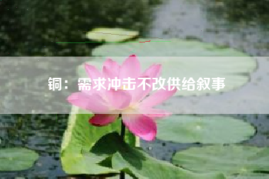 铜：需求冲击不改供给叙事