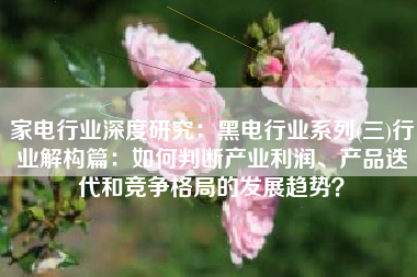 家电行业深度研究：黑电行业系列(三)行业解构篇：如何判断产业利润、产品迭代和竞争格局的发展趋势？