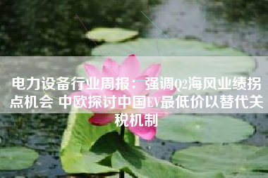 电力设备行业周报：强调Q2海风业绩拐点机会 中欧探讨中国EV最低价以替代关税机制