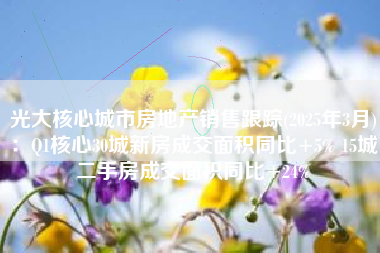 光大核心城市房地产销售跟踪(2025年3月)：Q1核心30城新房成交面积同比+5% 15城二手房成交面积同比+24%