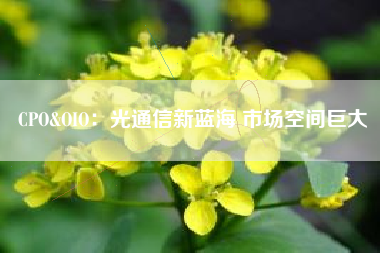 CPO&OIO：光通信新蓝海 市场空间巨大