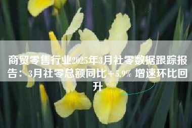 商贸零售行业2025年3月社零数据跟踪报告：3月社零总额同比+5.9% 增速环比回升