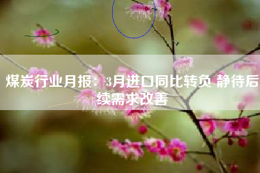 煤炭行业月报：3月进口同比转负 静待后续需求改善