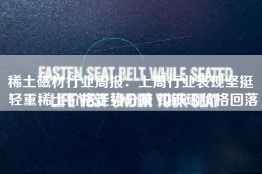 稀土磁材行业周报：上周行业表现坚挺 轻重稀土价格走势分歧 钕铁硼价格回落