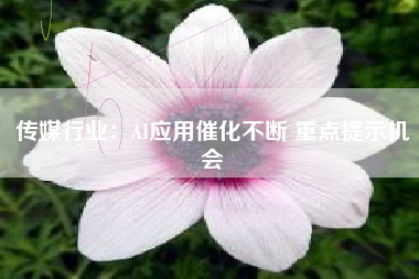 传媒行业：AI应用催化不断 重点提示机会