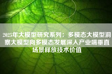 2025年大模型研究系列：多模态大模型洞察大模型向多模态发展深入产业端垂直场景释放技术价值