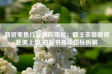 商贸零售行业跟踪周报：霸王茶姬即将赴美上市 招股书各项指标拆解