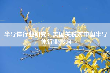 半导体行业研究：美国关税对中国半导体行业影响