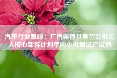 汽车行业跟踪：广汽集团具身智能机器人核心部件计划年内小批量试产试销