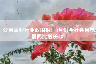 公用事业行业双周报：3月份全社会用电量同比增长4.8%