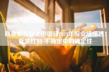 商业银行业上市银行2024年报业绩综述：低波红利 不确定中的确定性