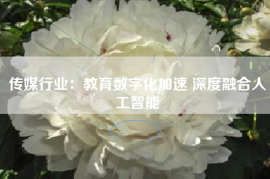 传媒行业：教育数字化加速 深度融合人工智能