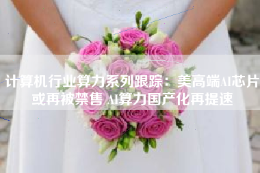 计算机行业算力系列跟踪：美高端AI芯片或再被禁售 AI算力国产化再提速