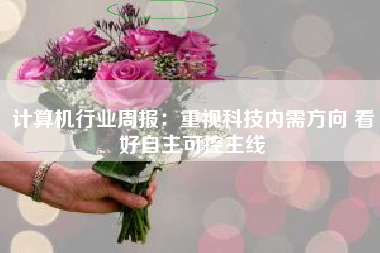 计算机行业周报：重视科技内需方向 看好自主可控主线