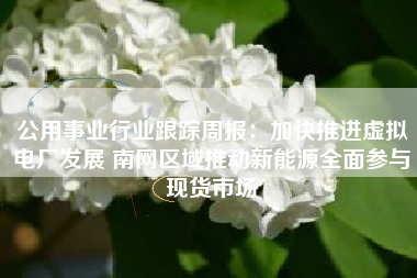 公用事业行业跟踪周报：加快推进虚拟电厂发展 南网区域推动新能源全面参与现货市场