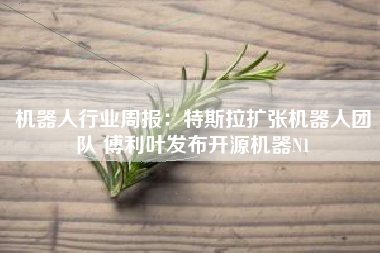 机器人行业周报：特斯拉扩张机器人团队 傅利叶发布开源机器N1