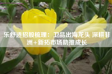 乐舒适招股梳理：卫品出海龙头 深耕非洲+新拓市场助推成长
