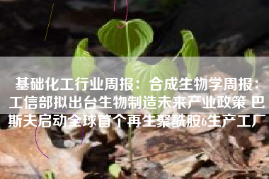 基础化工行业周报：合成生物学周报：工信部拟出台生物制造未来产业政策 巴斯夫启动全球首个再生聚酰胺6生产工厂