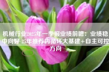 机械行业2025年一季报业绩前瞻：业绩稳中向好 25年推荐内循环大基建+自主可控方向