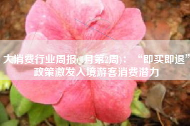 大消费行业周报(4月第2周)：“即买即退”政策激发入境游客消费潜力