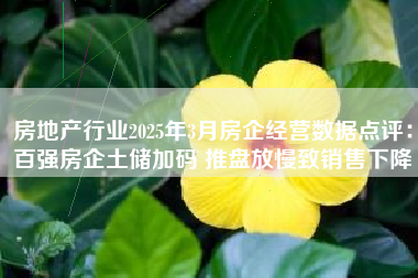 房地产行业2025年3月房企经营数据点评：百强房企土储加码 推盘放慢致销售下降