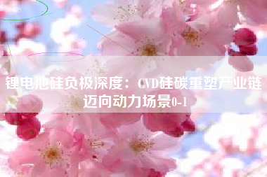 锂电池硅负极深度：CVD硅碳重塑产业链 迈向动力场景0-1