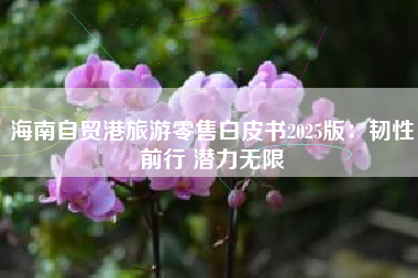 海南自贸港旅游零售白皮书2025版：韧性前行 潜力无限