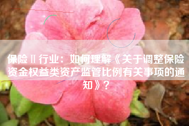 保险Ⅱ行业：如何理解《关于调整保险资金权益类资产监管比例有关事项的通知》？