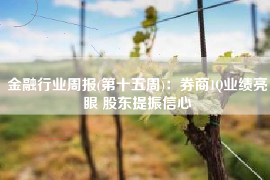 金融行业周报(第十五周)：券商1Q业绩亮眼 股东提振信心