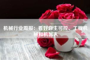 机械行业周报：看好自主可控、工程机械和机器人