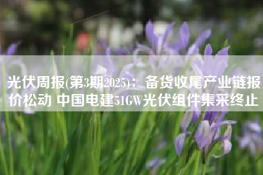 光伏周报(第3期2025)：备货收尾产业链报价松动 中国电建51GW光伏组件集采终止