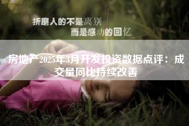 房地产2025年3月开发投资数据点评：成交量同比持续改善