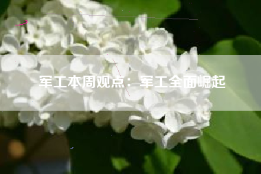 军工本周观点：军工全面崛起