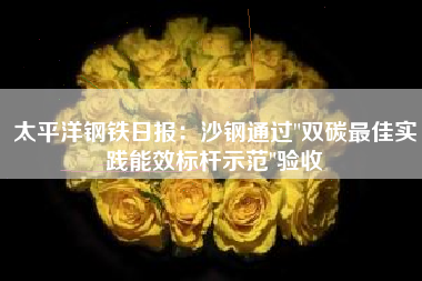太平洋钢铁日报：沙钢通过