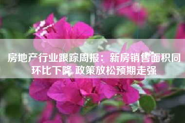 房地产行业跟踪周报：新房销售面积同环比下降 政策放松预期走强