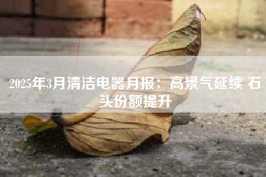 2025年3月清洁电器月报：高景气延续 石头份额提升