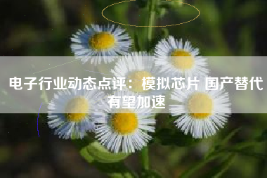 电子行业动态点评：模拟芯片 国产替代有望加速