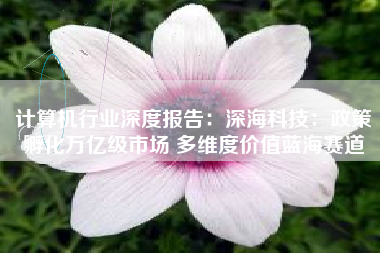 计算机行业深度报告：深海科技：政策孵化万亿级市场 多维度价值蓝海赛道