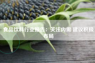 食品饮料行业报告：关注内需 建议积极布局