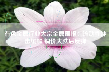 有色金属行业大宗金属周报：流动性冲击缓解 铜价大跌后反弹