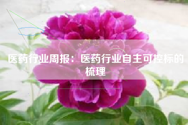 医药行业周报：医药行业自主可控标的梳理