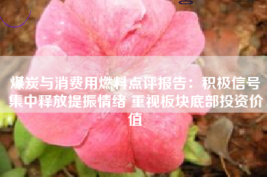 煤炭与消费用燃料点评报告：积极信号集中释放提振情绪 重视板块底部投资价值
