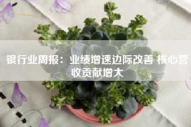 银行业周报：业绩增速边际改善 核心营收贡献增大