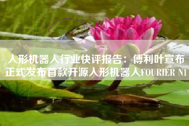 人形机器人行业快评报告：傅利叶宣布正式发布首款开源人形机器人FOURIER N1