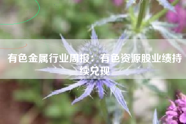 有色金属行业周报：有色资源股业绩持续兑现
